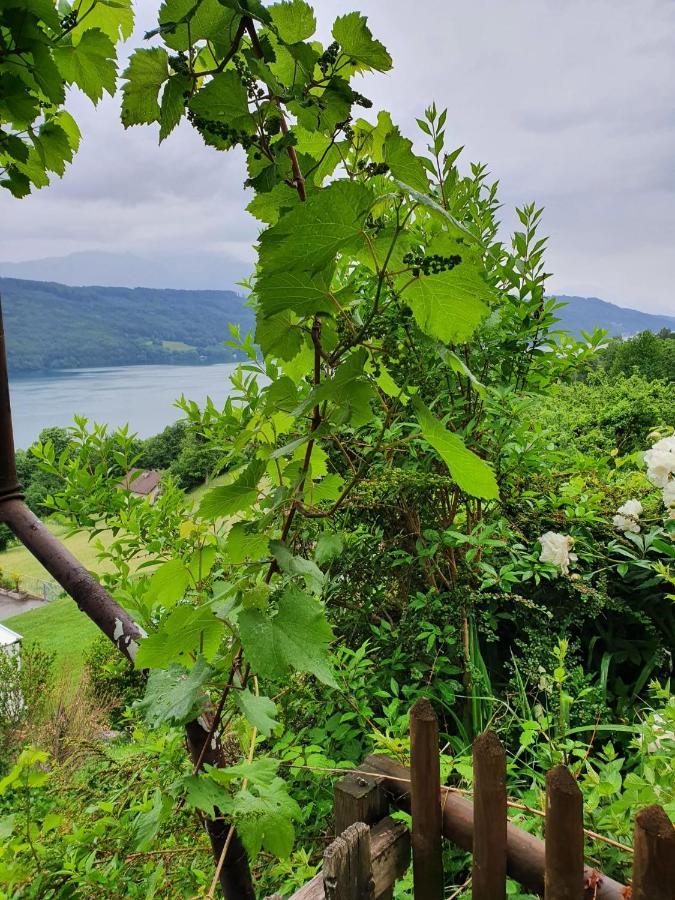Apartment Haus Starfach Döbriach Zewnętrze zdjęcie