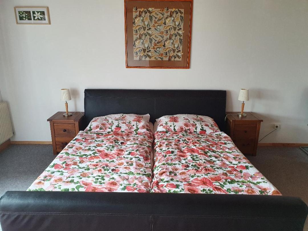 Apartment Haus Starfach Döbriach Zewnętrze zdjęcie